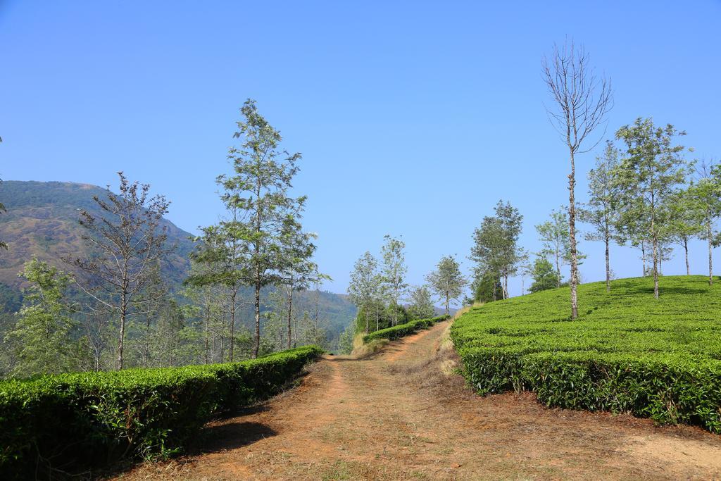 Pavithram Homestay Munnar Exterior foto